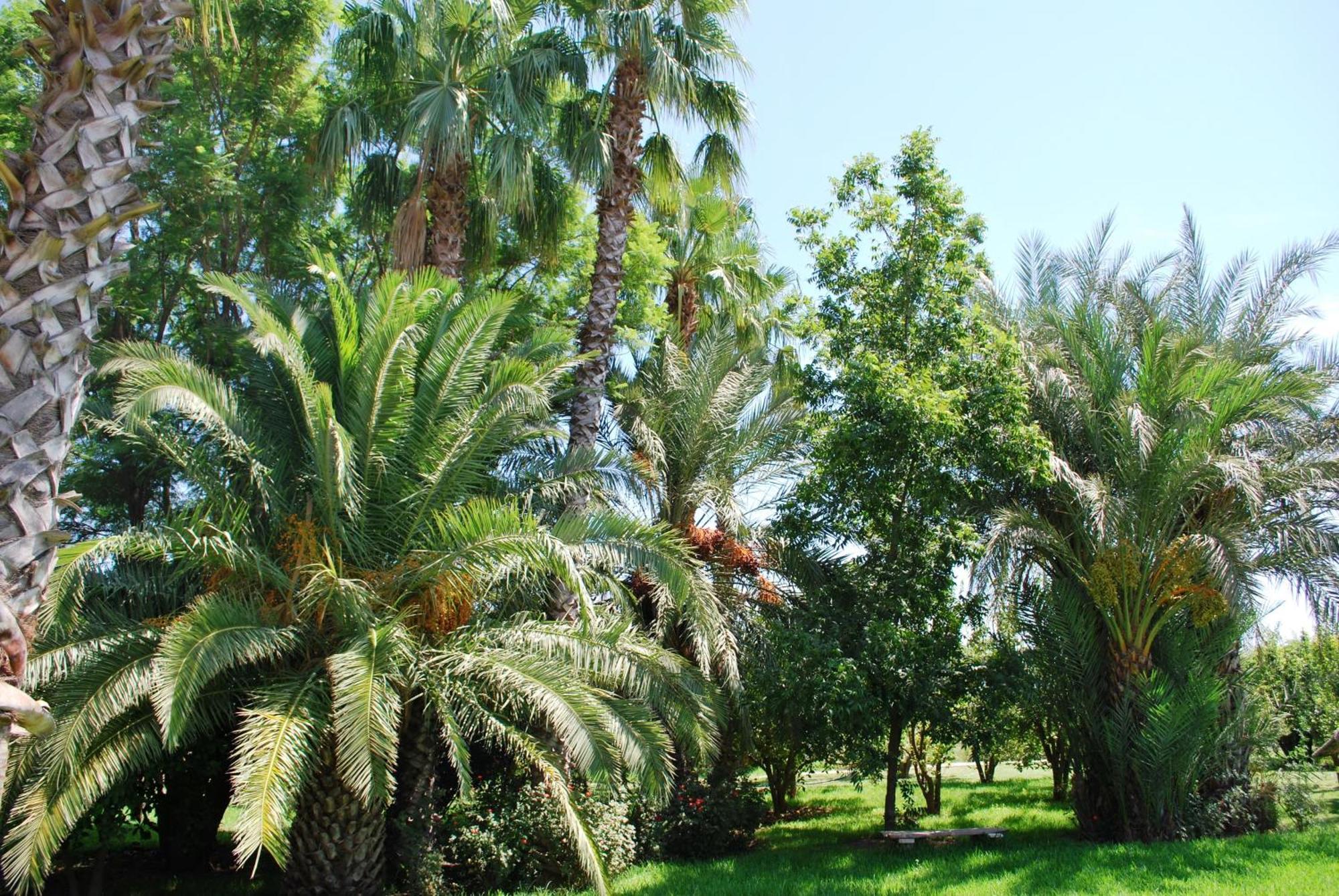 Casa Taos Hotel Douar Azib el goundafi Luaran gambar