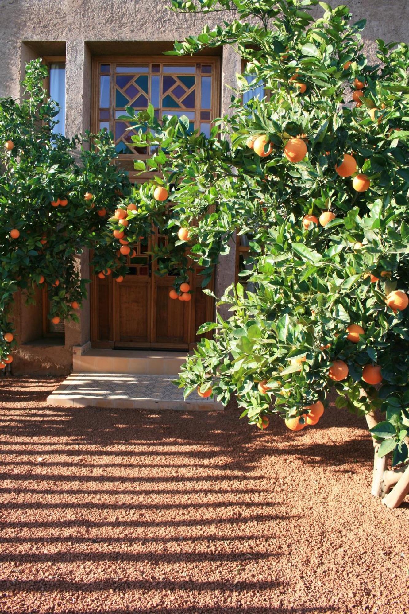 Casa Taos Hotel Douar Azib el goundafi Luaran gambar